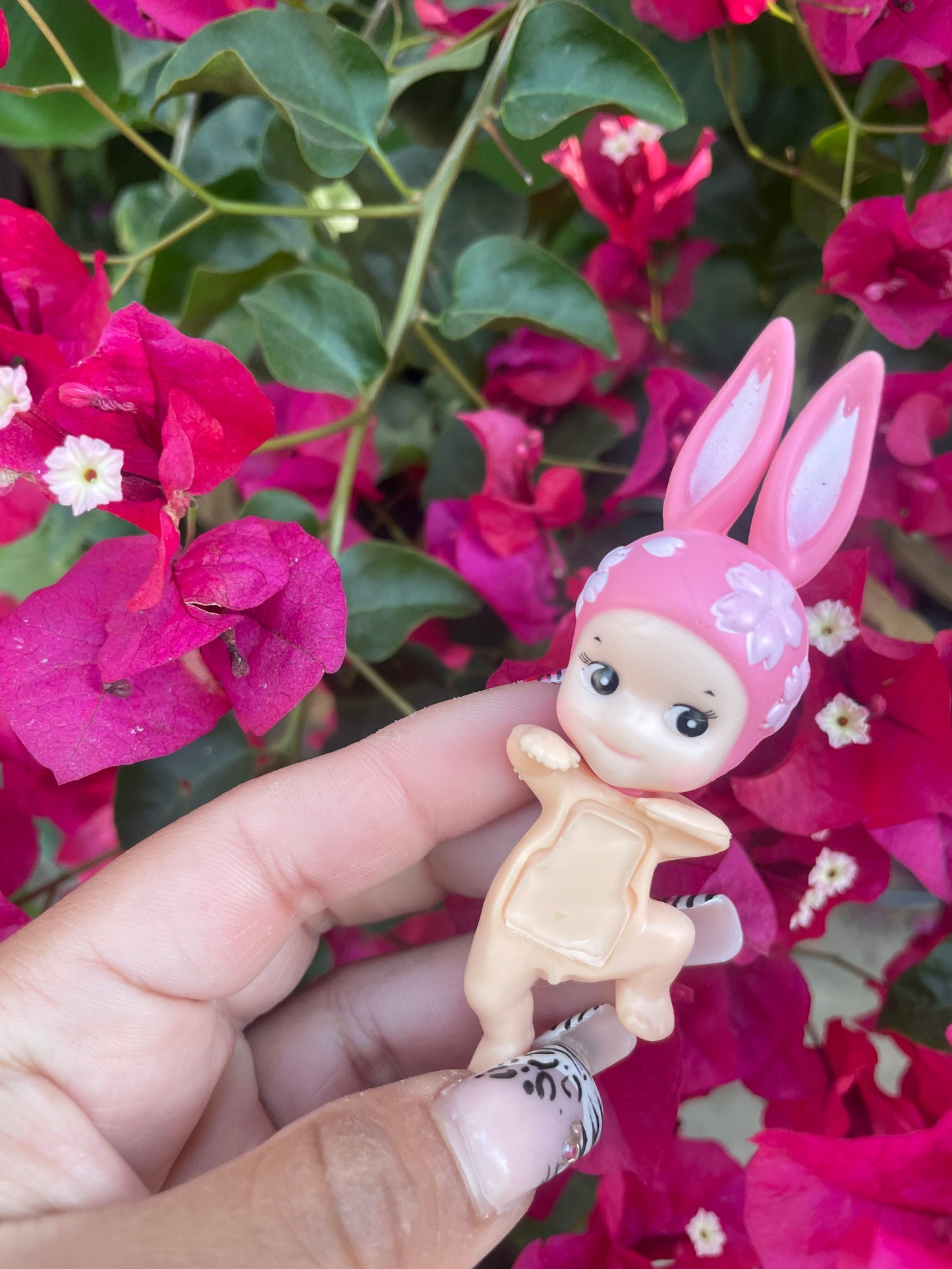 Baby hippers blossom series
